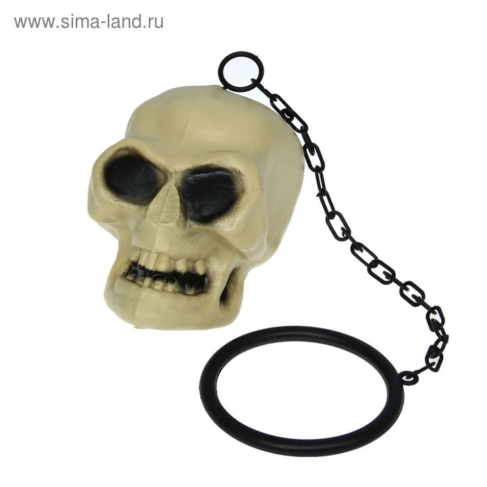 Череп с кольцом - Фото 1