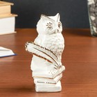 Сувенир керамика "Мудрая сова на книгах" белый, со стразами, 13,2х6,7х7,5 см - Фото 2