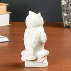 Сувенир керамика "Мудрая сова на книгах" белый, со стразами, 13,2х6,7х7,5 см - Фото 3