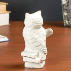 Сувенир керамика "Мудрая сова на книгах" белый, со стразами, 13,2х6,7х7,5 см - Фото 4