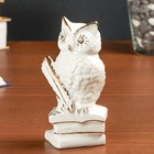 Сувенир керамика "Мудрая сова на книгах" белый, со стразами, 13,2х6,7х7,5 см - Фото 5