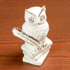 Сувенир керамика "Мудрая сова на книгах" белый, со стразами, 13,2х6,7х7,5 см - Фото 6