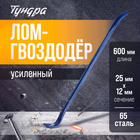 Лом-гвоздодер ТУНДРА, усиленный, 65 сталь, 600 х 25 х 12 мм - фото 3589085