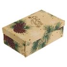 Подарочная коробка «Шишки», набор для декора, 21 × 30 см - Фото 2