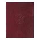 Премиум-дневник универсальный, для 1-11 класса Vivella "Россия", обложка искусственная кожа, бордовый - Фото 1