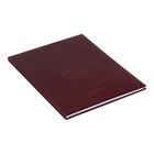 Премиум-дневник универсальный, для 1-11 класса Vivella "Россия", обложка искусственная кожа, бордовый - Фото 2