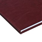Премиум-дневник универсальный, для 1-11 класса Vivella "Россия", обложка искусственная кожа, бордовый - Фото 3