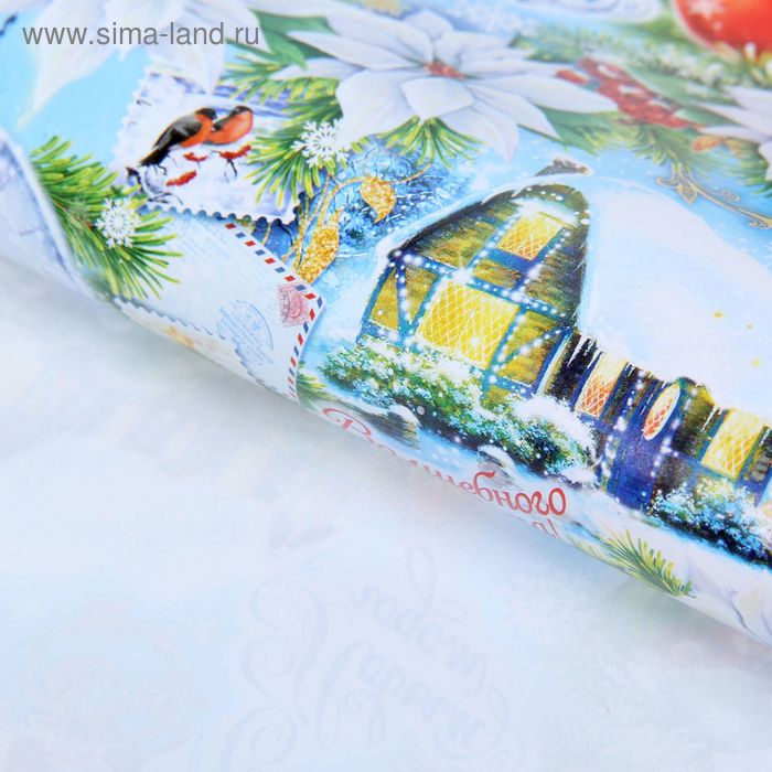 Бумага упаковочная глянцевая в рулоне "Снегири", 70х100 см, 80 г/м2 - Фото 1