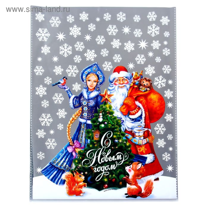 Пакет подарочный пластиковый с новым годом «Дед Мороз и Снегурочка», 20 × 30 см - Фото 1