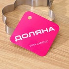 Форма для яичницы и оладий Доляна «Ромашка», металл - Фото 4