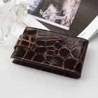 Визитница на кнопке, 1 ряд, 16 листов, крокодил, цвет коричневый - Фото 2