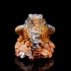 Копилка "Жаба", глянец, бронзовый цвет, гипс, 16 см, микс - Фото 3