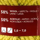 Пряжа Arina (АринаПШ) 50% шерсть, 50% акрил 123м/100гр (345 липа) - Фото 2