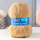 Пряжа Karolina (Каролина) 100% акрил 438м/100гр св.беж (17) - Фото 1