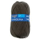 Пряжа Karolina (Каролина) 100% акрил 438м/100гр (67 полынь) - Фото 2