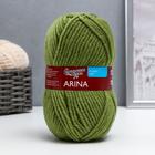 Пряжа Arina (АринаПШ) 50% шерсть, 50% акрил 123м/100гр (10 фисташк) - Фото 1