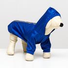 Куртка-ветровка для животных, светоотражающая, S (ДС 20-22, ОШ 26, ОГ 30-34 см), синяя - фото 11356091