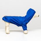 Куртка-ветровка для животных, светоотражающая, S (ДС 20-22, ОШ 26, ОГ 30-34 см), синяя - Фото 11