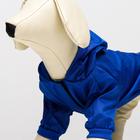 Куртка-ветровка для животных, светоотражающая, S (ДС 20-22, ОШ 26, ОГ 30-34 см), синяя - Фото 3
