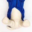 Куртка-ветровка для животных, светоотражающая, S (ДС 20-22, ОШ 26, ОГ 30-34 см), синяя - Фото 4