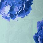 Постельное бельё дуэт Блакит «Гортензия», 153х215 см — 2 шт, 220х240 см, 70х70 см — 2 шт - Фото 3