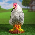 Садовая фигура "Курица несушка" 35х20х40см - Фото 5