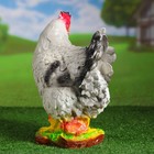 Садовая фигура "Курица несушка" 35х20х40см - Фото 6