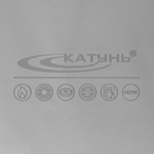 Кастрюля Катунь «Общепит», 15 л, d=30 см, h=23 см, нержавеющая сталь - Фото 5