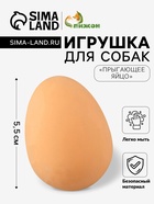 Игрушка для собак «Прыгающее яйцо», 5.5 см - Фото 1