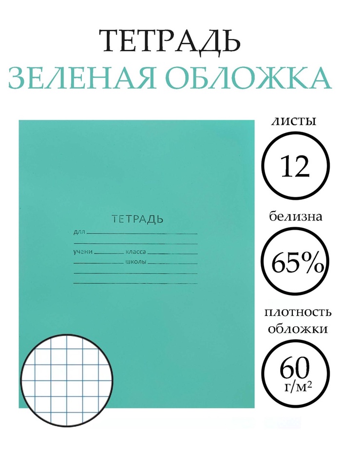 Тетрадь 12 листов в клетку «Зелёная обложка», эконом, плотность обложки 60 г/м² - Фото 1