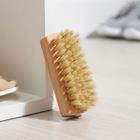 Щётка для обуви SAVANNA, 10×3.5 см, 59 пучков, натуральный волос - Фото 4