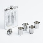 Подарочный набор 6 в 1 «Клетка»: фляжка 270 мл + 4 рюмки 30 мл, воронка, металл - Фото 1