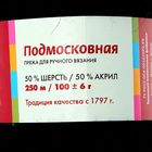 Пряжа "Подмосковная" 50% шерсть, 50% акрил 250м/100гр (0140, черный) - Фото 3