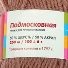 Пряжа "Подмосковная" 50% шерсть, 50% акрил 250м/100гр (1638, верба) - Фото 3