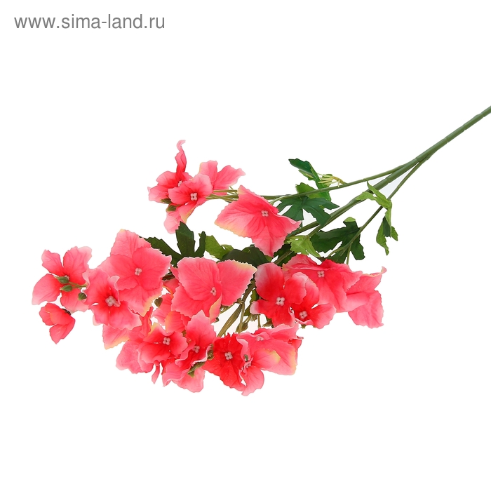 Цветы искусственные 80 см d-6,5 см ипомея розовая - Фото 1