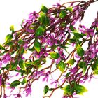 Букет 38 см мелкий лист МИКС - Фото 3