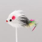 Дразнилка "Мышь на присоске", искусственный мех с перьями, 20 см, микс цветов - фото 9544441