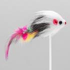 Дразнилка "Мышь на присоске", искусственный мех с перьями, 20 см, микс цветов - фото 9544442