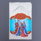 Пакет подарочный "Снегурочка" 25 х 40 см, цветной металлизированный рисунок - фото 8427650
