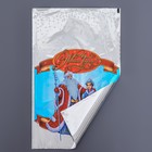 Пакет подарочный "Снегурочка" 25 х 40 см, цветной металлизированный рисунок - Фото 2