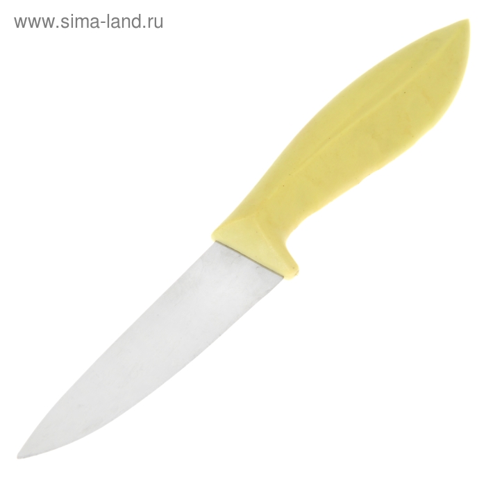 Нож для овощей кухонный «Времена года», лезвие 9 см - Фото 1