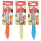 Нож для овощей кухонный «Времена года», лезвие 9,5 см, цвет МИКС - Фото 3