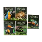 Тетрадь 48 листов клетка "Джунгли", картонная обложка, ВД-лак, 5 видов МИКС - Фото 1