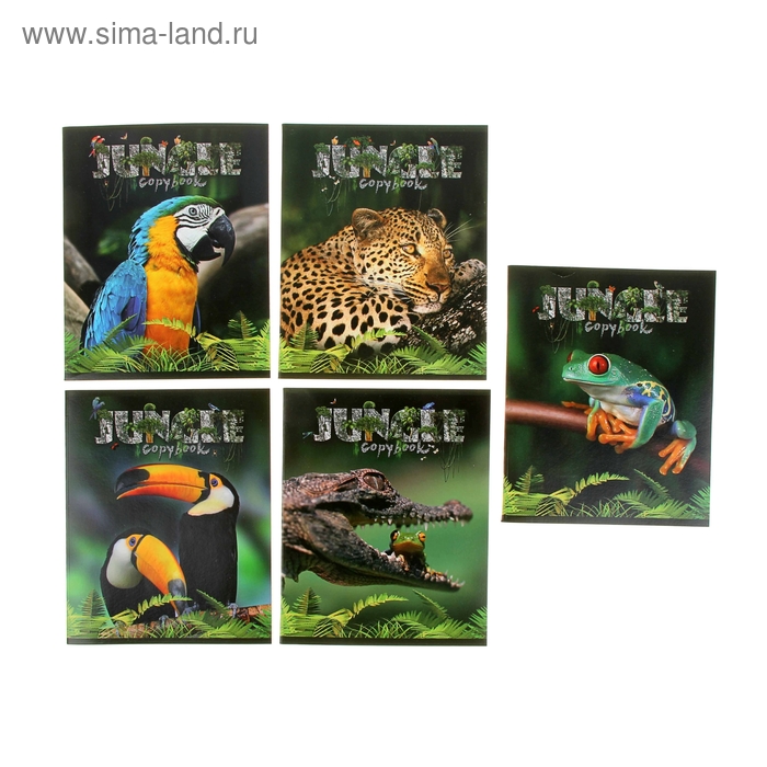 Тетрадь 48 листов клетка "Джунгли", картонная обложка, ВД-лак, 5 видов МИКС - Фото 1