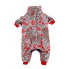 Комбинезон демисезонный "Клубничка", девочка, размер S (ДС 20 см, ОГ 29-36 см, ОШ 20-24 см) - Фото 1