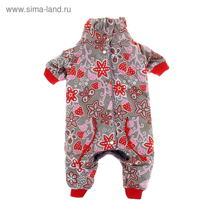 Комбинезон демисезонный "Клубничка", девочка, размер S (ДС 20 см, ОГ 29-36 см, ОШ 20-24 см) - Фото 1