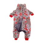 Комбинезон демисезонный "Клубничка", девочка, размер S (ДС 20 см, ОГ 29-36 см, ОШ 20-24 см) - Фото 2