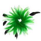 Карнавальное перо, зажим + значок, цвет зелёный - Фото 2