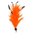 Карнавальное перо, значок-зажим, цвет оранжевый - Фото 1