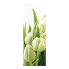 Фотообои "Белые тюльпаны" 11-0160-FG, 100х280 см - Фото 1